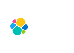 Elastic Partner Syone Portugal