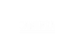 camunda_white