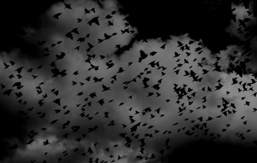 Cloud Migration: should I stay or should I go?