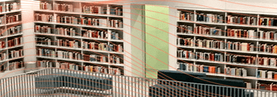 Data Management